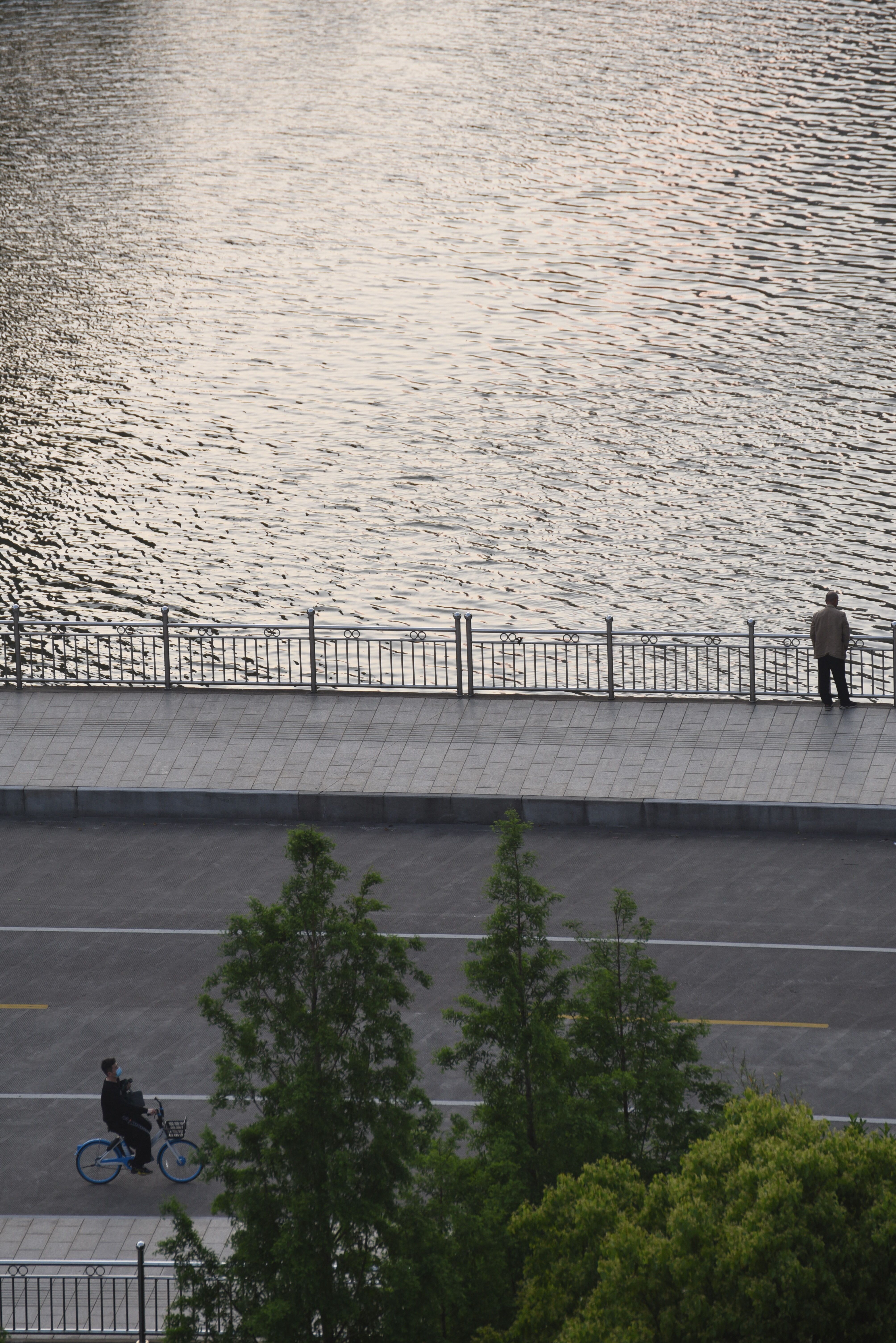 Person Standing Near the Metal Railing · Free Stock Photo