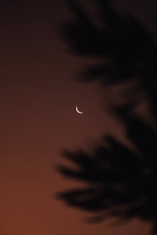 A View of a Crescent Moon in the Night Sky