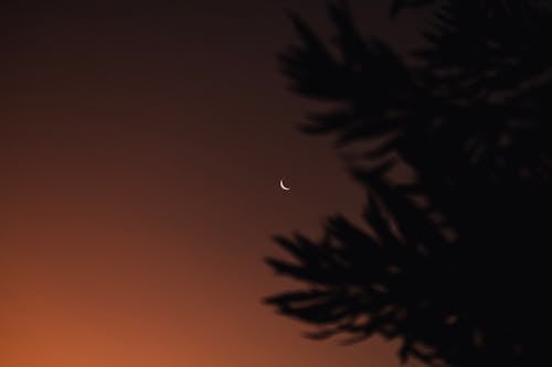 Free Crescent Moon Under Dark Sky Stock Photo