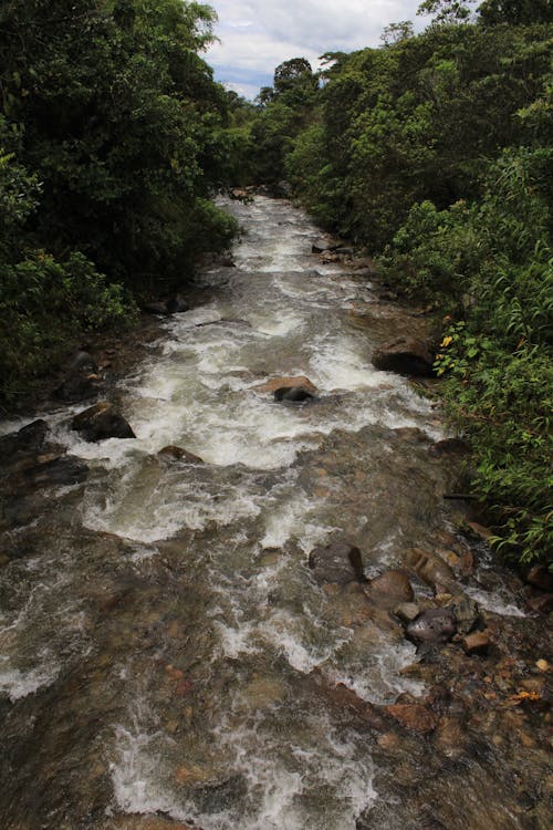 An Aerial Shot of a Cascading River