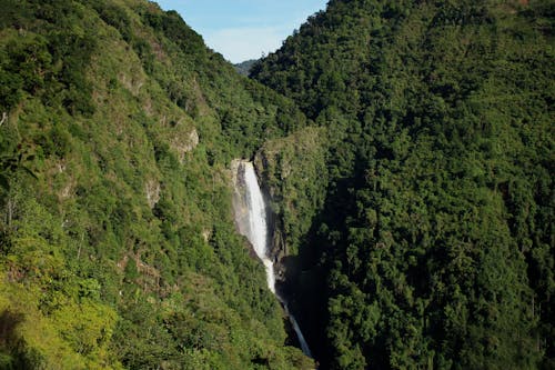 Fotos de stock gratuitas de bosque montañoso, cascadas, colombia