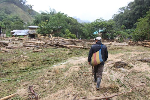 Fotos de stock gratuitas de agua de lluvia, desastre ambiental, desastre natural