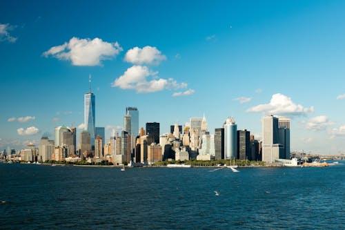 A View of the New York Skyline 