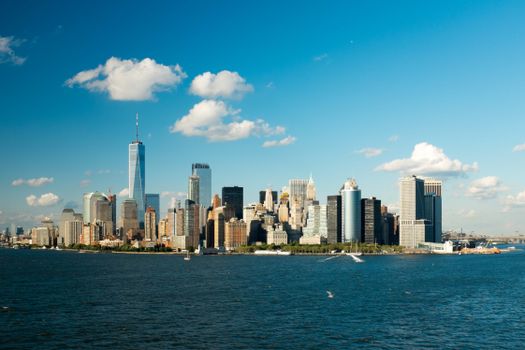 A View of the New York Skyline 