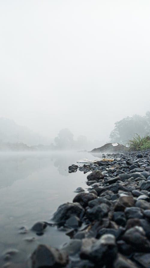 A Rocky Shore during a Foggy Day
