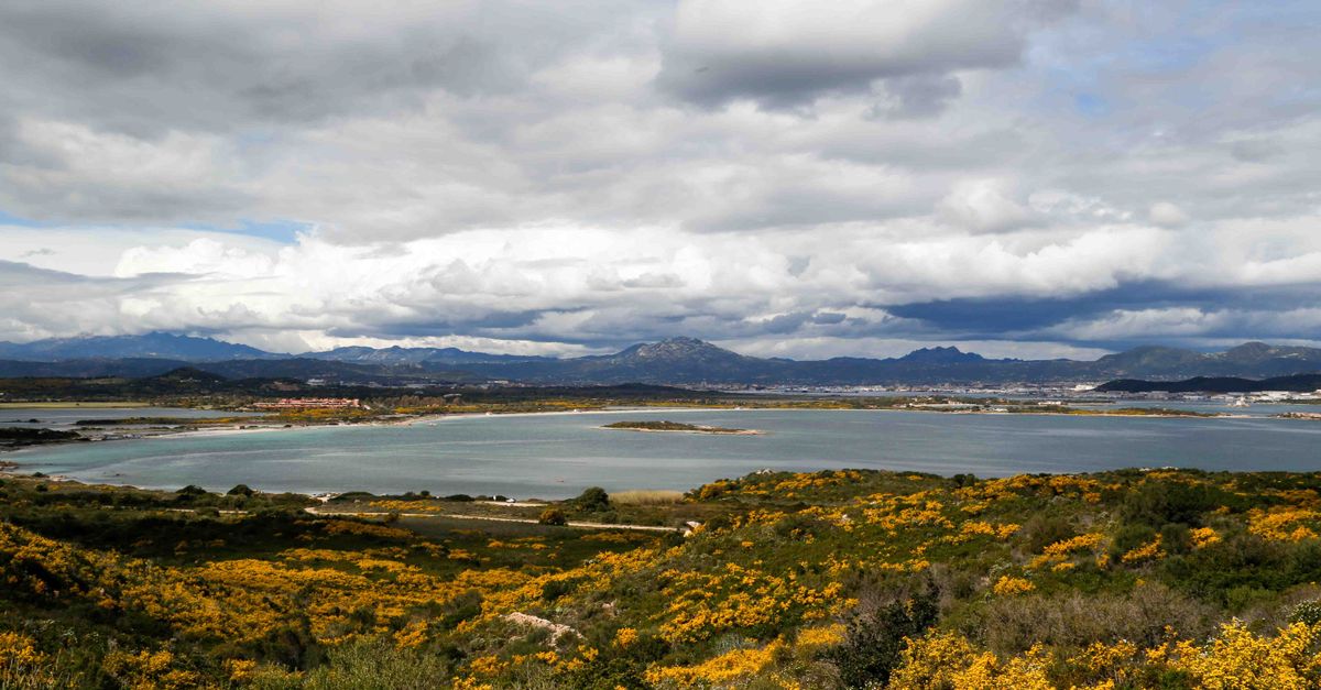 Vuelos baratos a Olbia