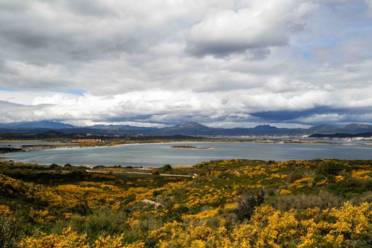 Olbia