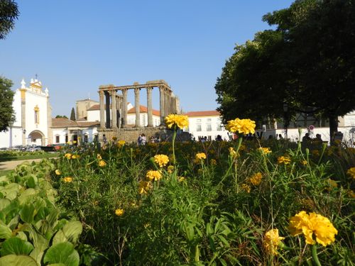 Free ÉVORA 3 Stock Photo