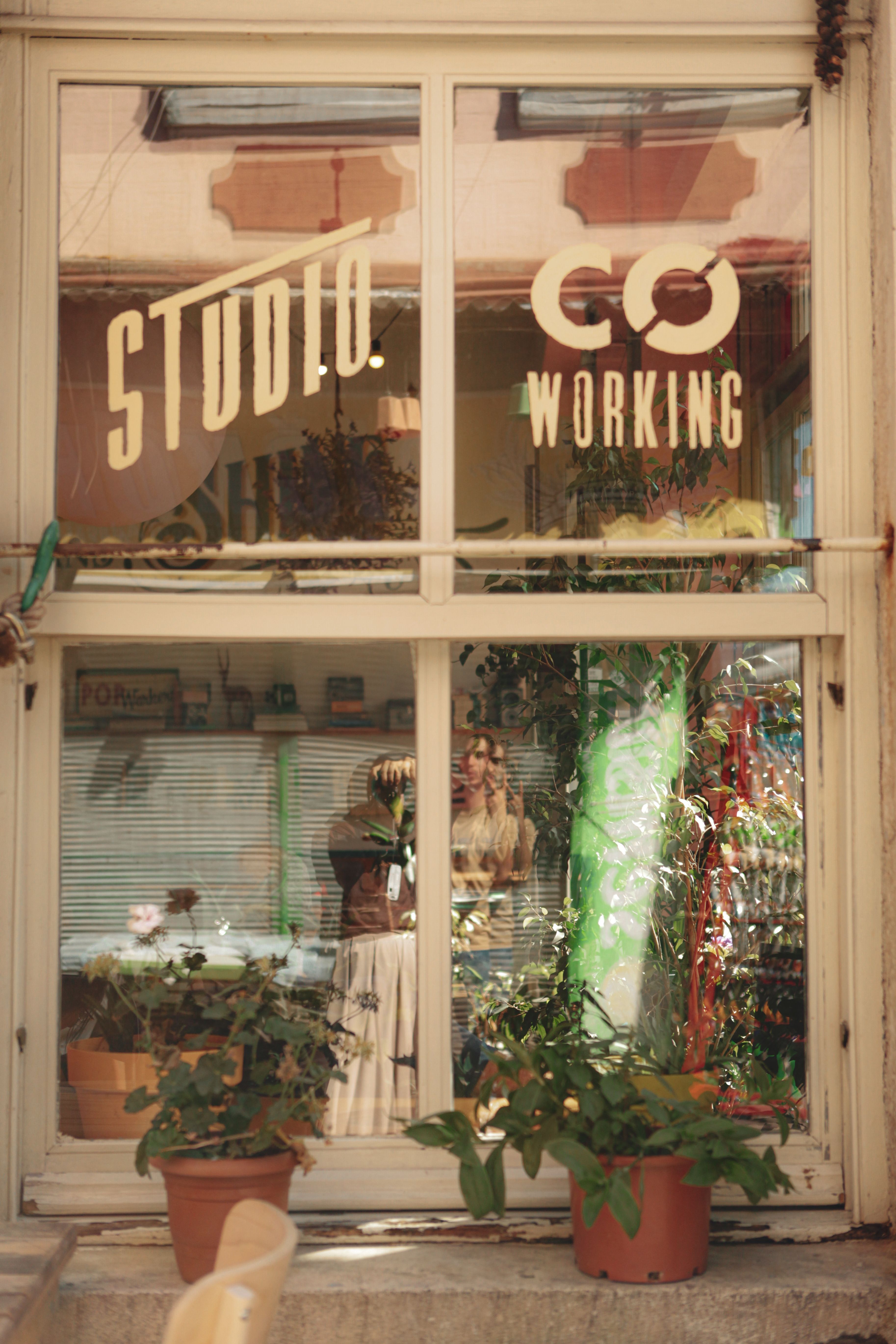 Warm interior view of a coworking space with plants and creative decor through a window.