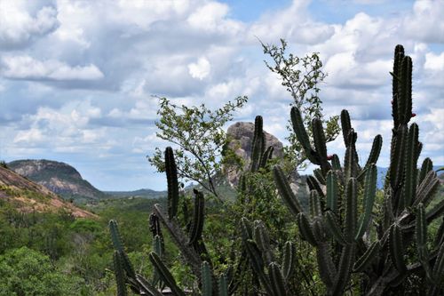 Free PAISAGEM RURAL 10 Stock Photo