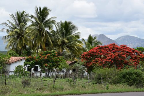 Free PAISAGEM RURAL 7 Stock Photo
