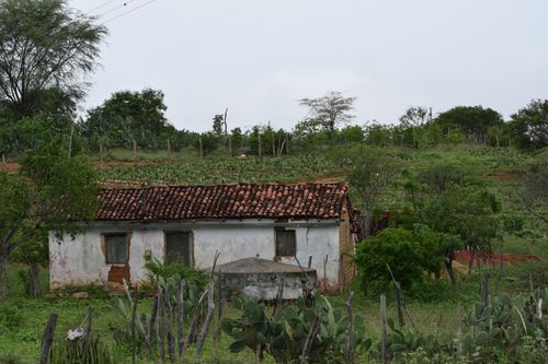 Free PAISAGEM RURAL 2 Stock Photo