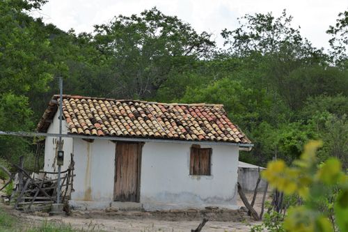 Free PAISAGEM RURAL 12 Stock Photo