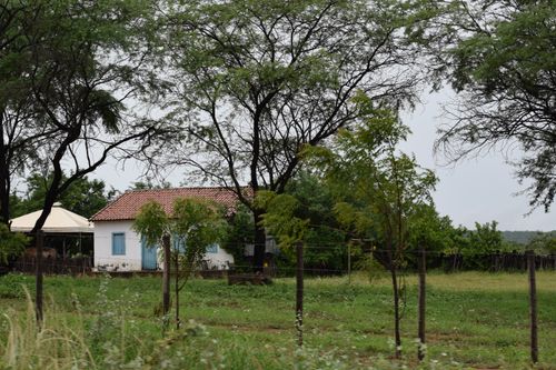 Free PAISAGEM RURAL 3 Stock Photo