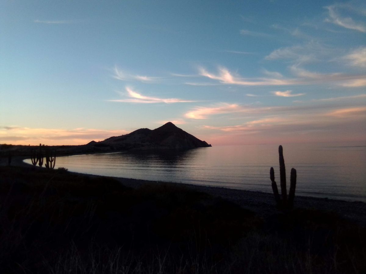 Tranquil sunset view of Loreto Beach with mountains and silhouetted cacti against a serene ocean backdrop.