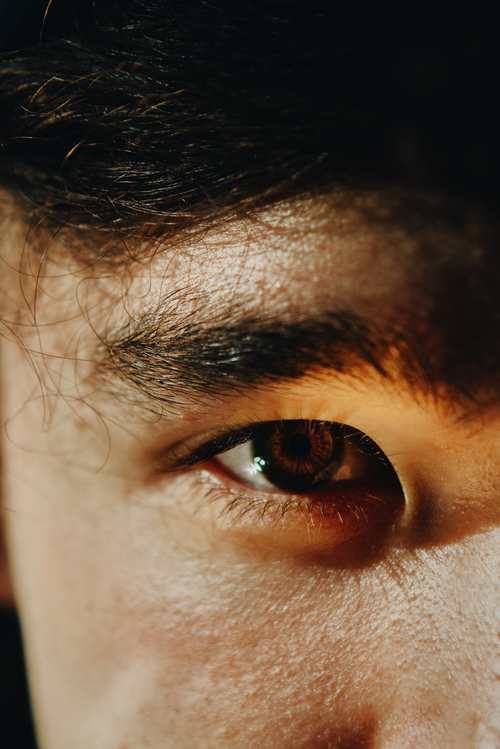 Free Detailed close-up of a human eye with focus on brown iris and eyebrow in natural light. Stock Photo