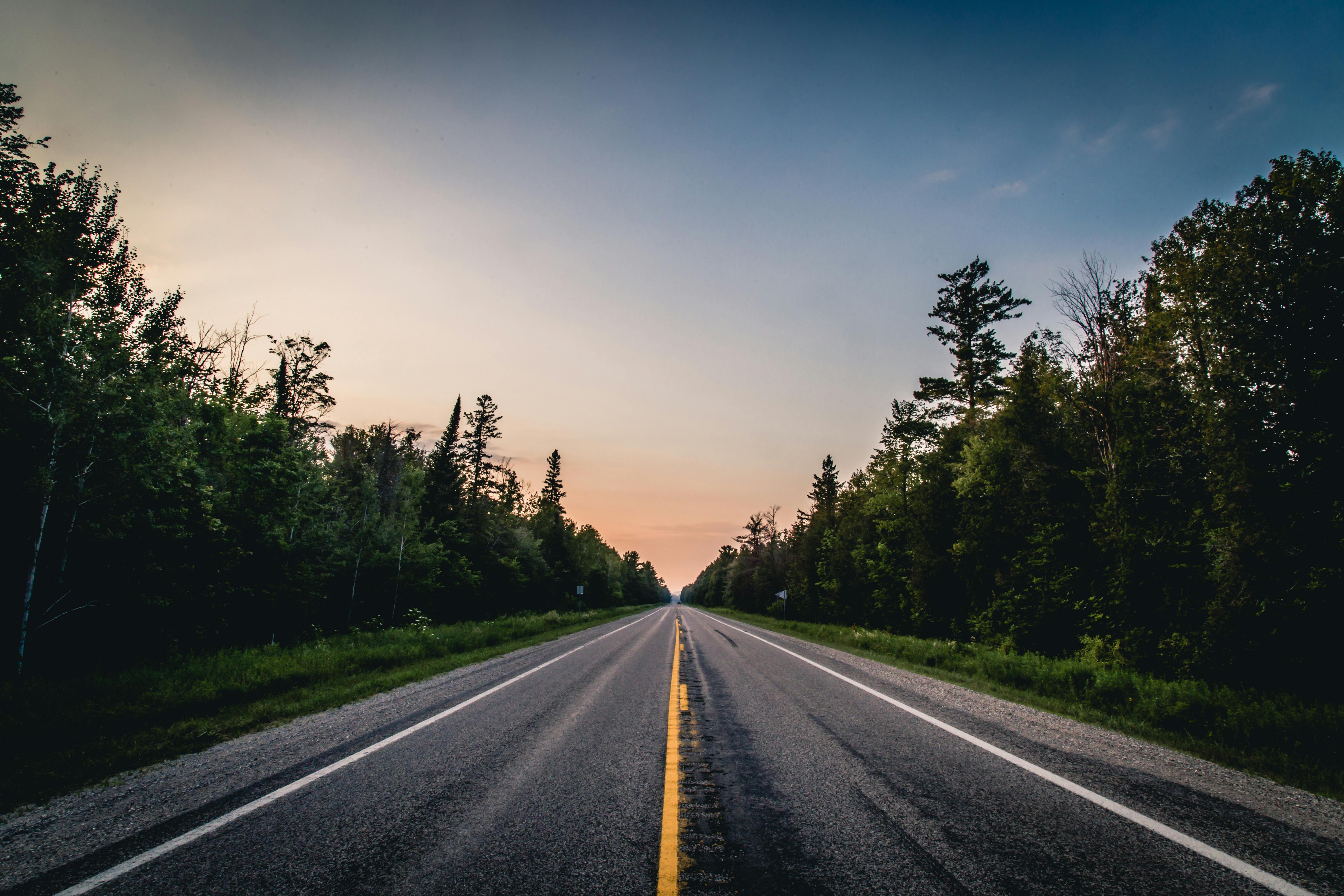 Michigan offers free service to find lost life insurance policies — Photo by Travis Rupert on Pexels
