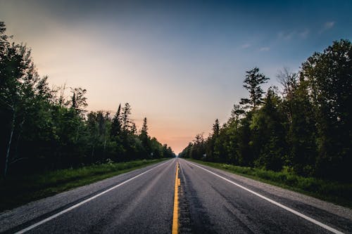 An Asphalt Road Between the Trees