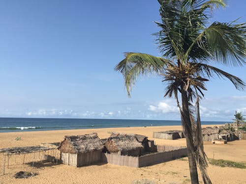 Free stock photo of beach, cotonou, huts