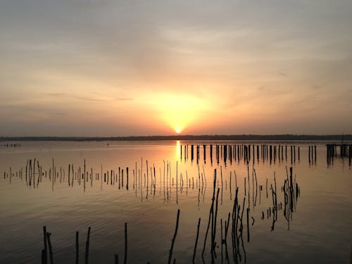 Free stock photo of sunrise, water
