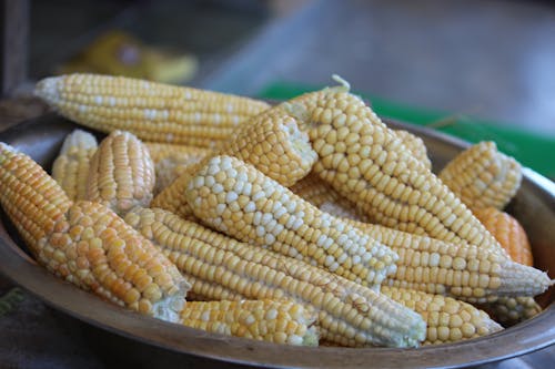 Foto profissional grátis de alimento, espiga de milho, fechar-se