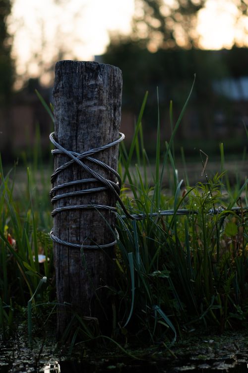 Free Close-up of a wooden post wrapped with wire, surrounded by grass in an outdoor setting. Stock Photo