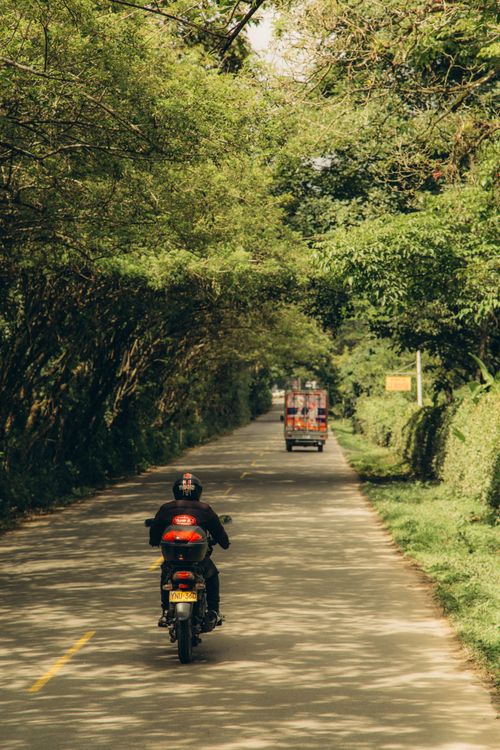 Free Motorcyclist on a serene rural road under a canopy of trees, a perfect travel scene. Stock Photo