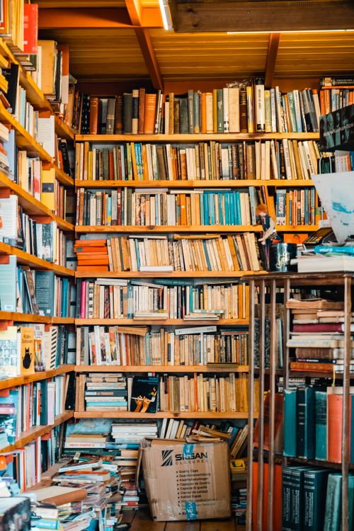Free An inviting bookstore interior filled with shelves of books under warm lighting. Stock Photo