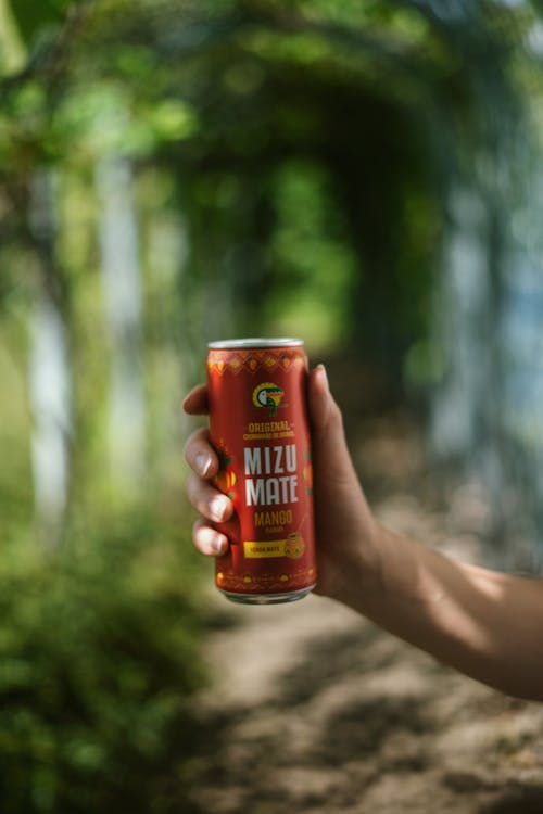 Person Holding a Red Canned Cola