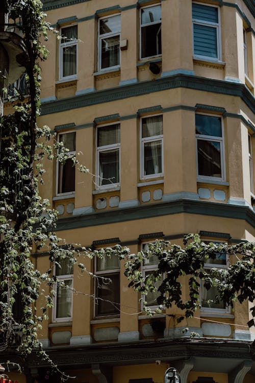 Glass Windows of an Apartment Building