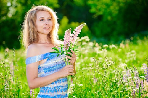 Kostnadsfri bild av blommor, blomning, blomsteräng