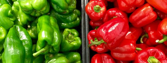 Bell peppers growing in garden