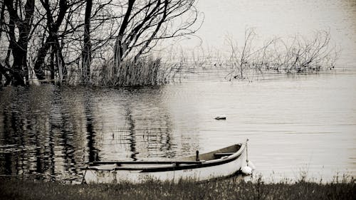 Free stock photo of Î Î ÏÎºÎ Î Î, ÏƒÎºÎ Ï Î Ï, rowboat