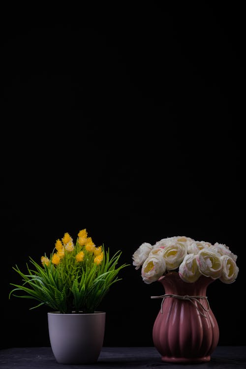 White Peony and Cock's Comb on Vase in Black Background 
