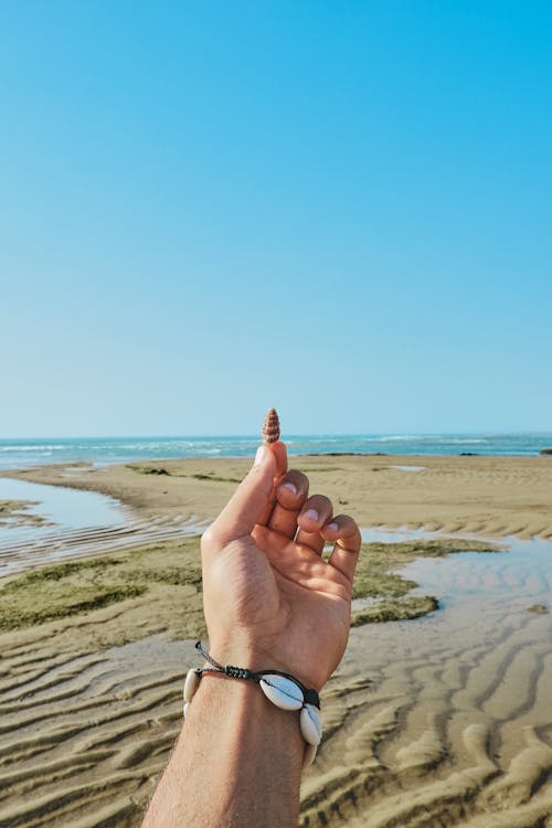 Foto profissional grátis de beira mar, céu azul, concha do mar