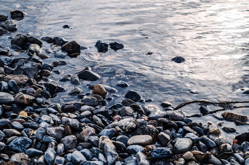 Foto profissional grátis de água, litoral, margem do rio