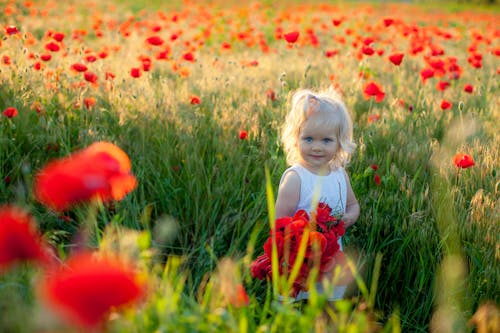 Gratis Foto stok gratis anak, berambut pirang, bunga poppy Foto Stok