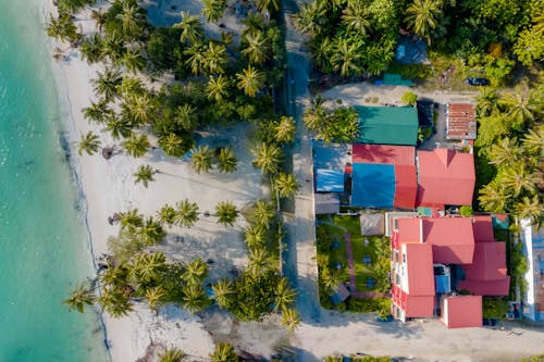 Top View of a Tropical Beach