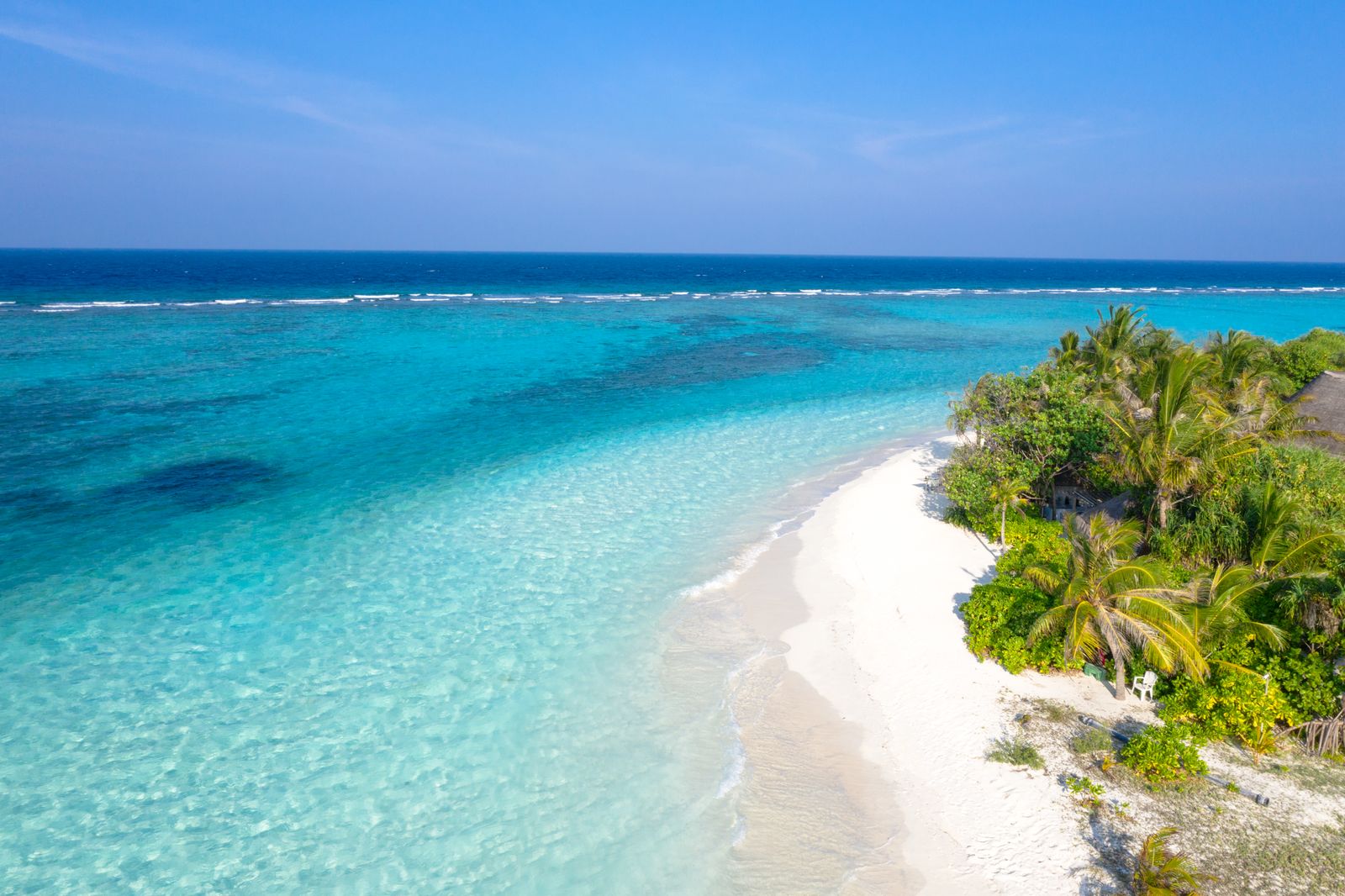 Where the reef meets the sand paint by numbers