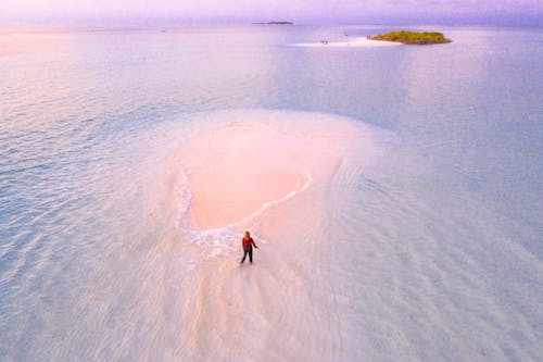 Aerial Photography of a Person Standing on the Sea Shore