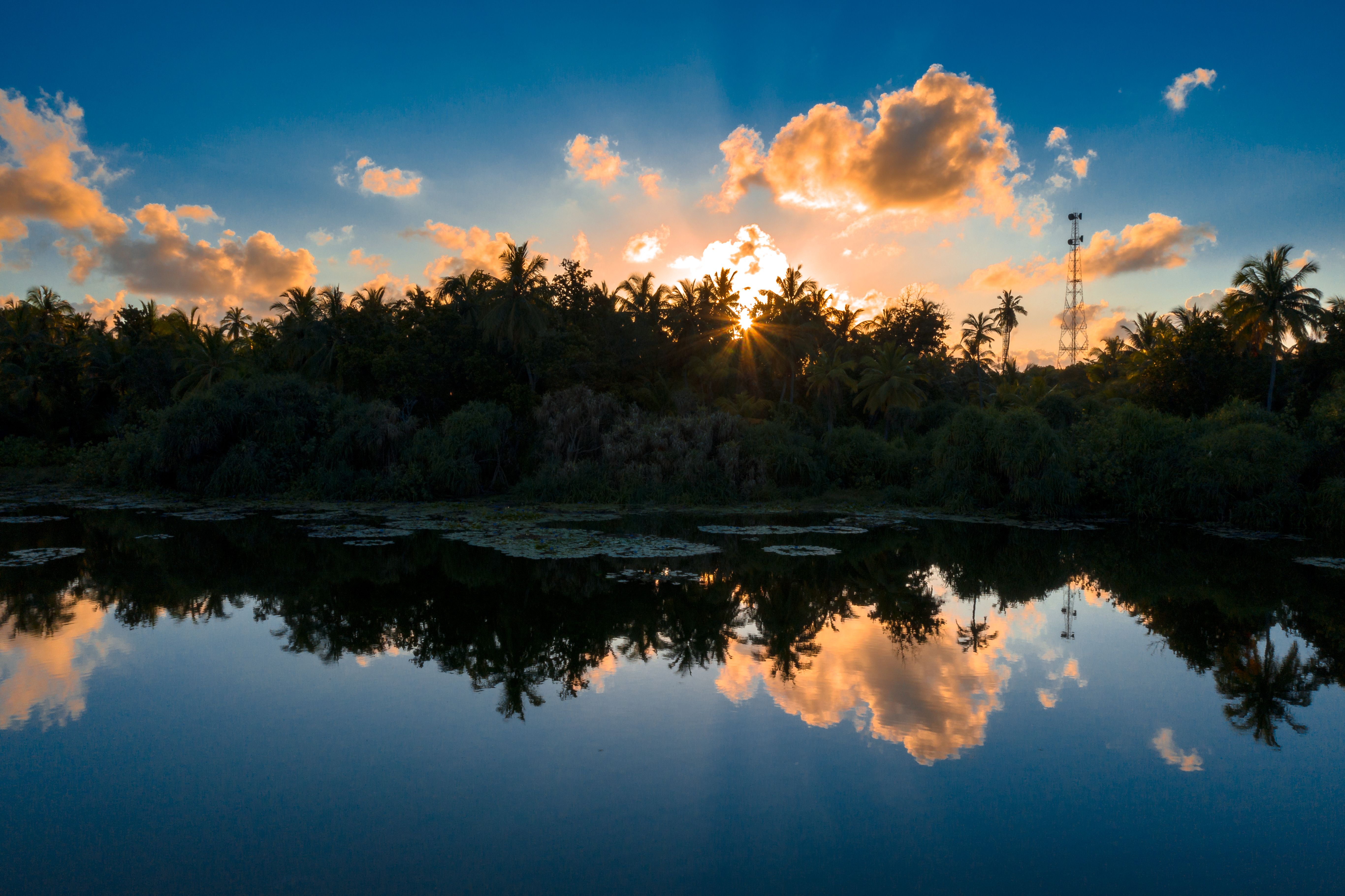 Silhouette of Trees Near a Lake during Sunset · Free Stock Photo