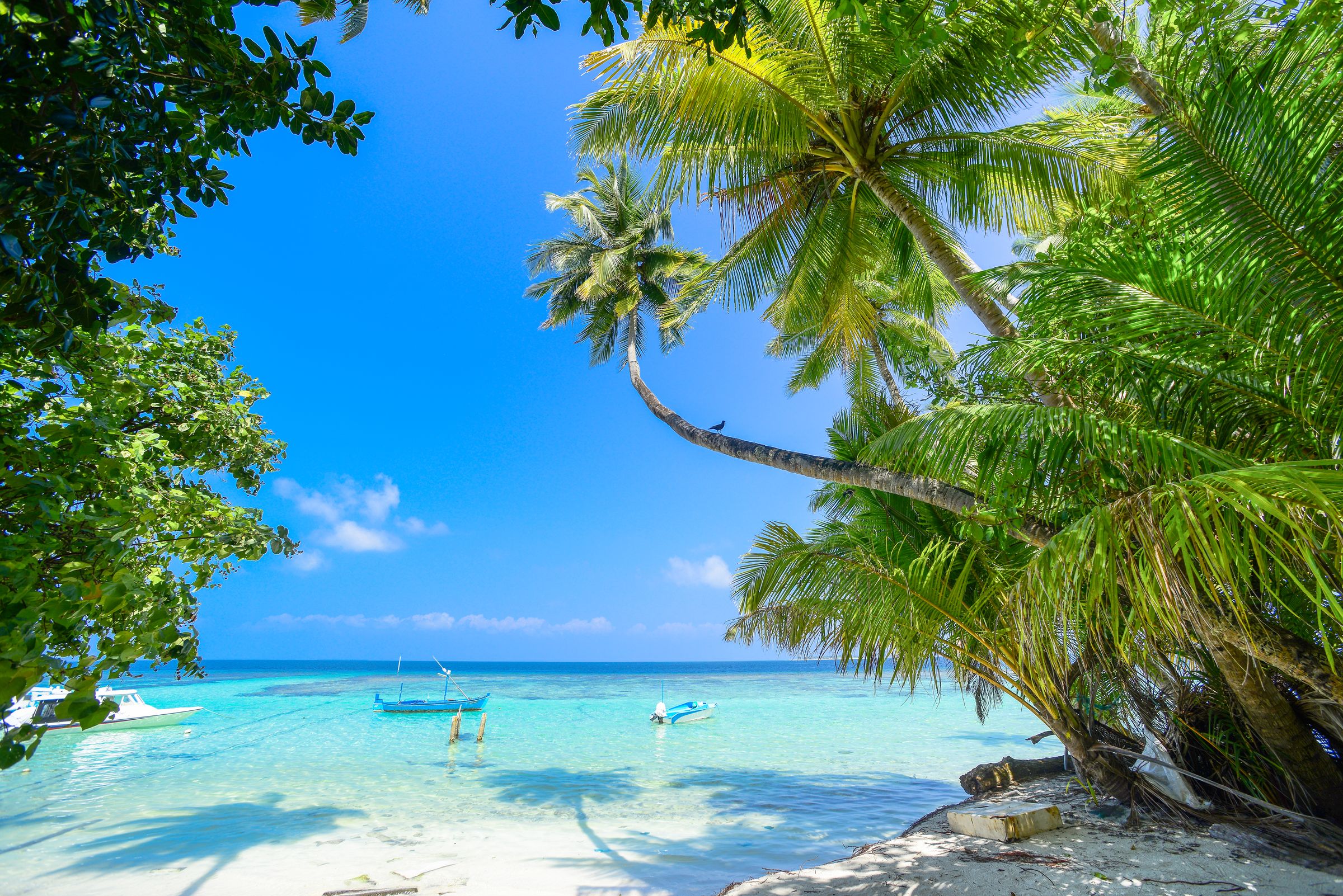 A Caribbean turquoise beach