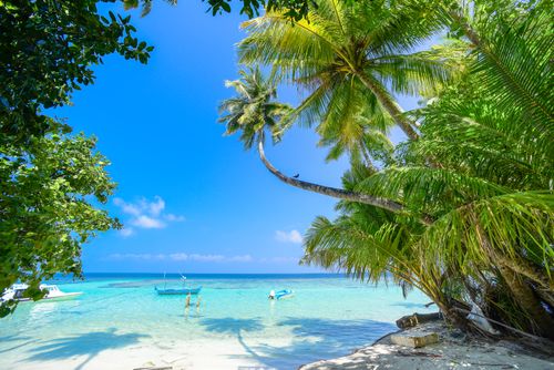 Free Serene tropical beach with turquoise waters and lush palm trees under a bright summer sky. Stock Photo