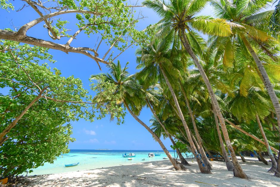 Person using a smartphone on a pristine beach in the Maldives with clear turquoise water