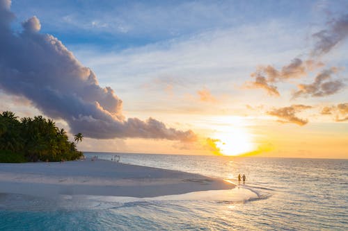 People on Beach during Sunset