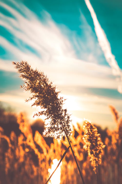 Kostenloses Stock Foto zu blauer himmel