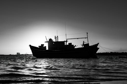 Foto profissional grátis de barco, escala de cinza, mar