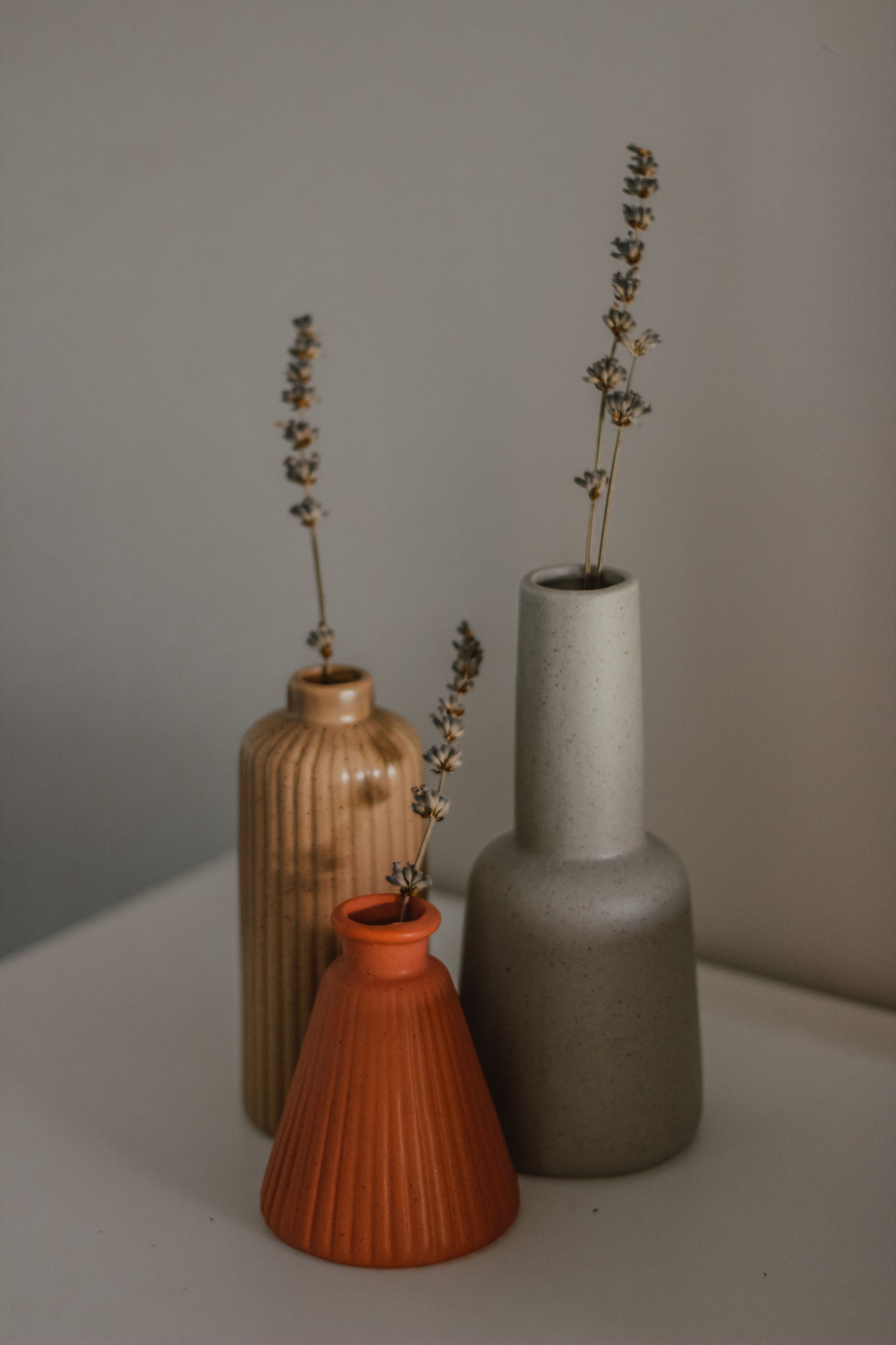 Still Life Photo with Vases · Free Stock Photo