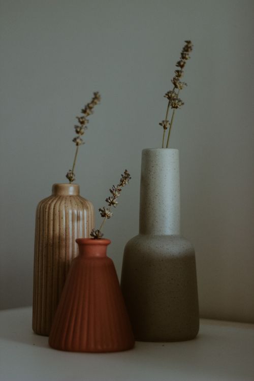 Free Aesthetic arrangement of three vases with dried flowers on a neutral background. Stock Photo