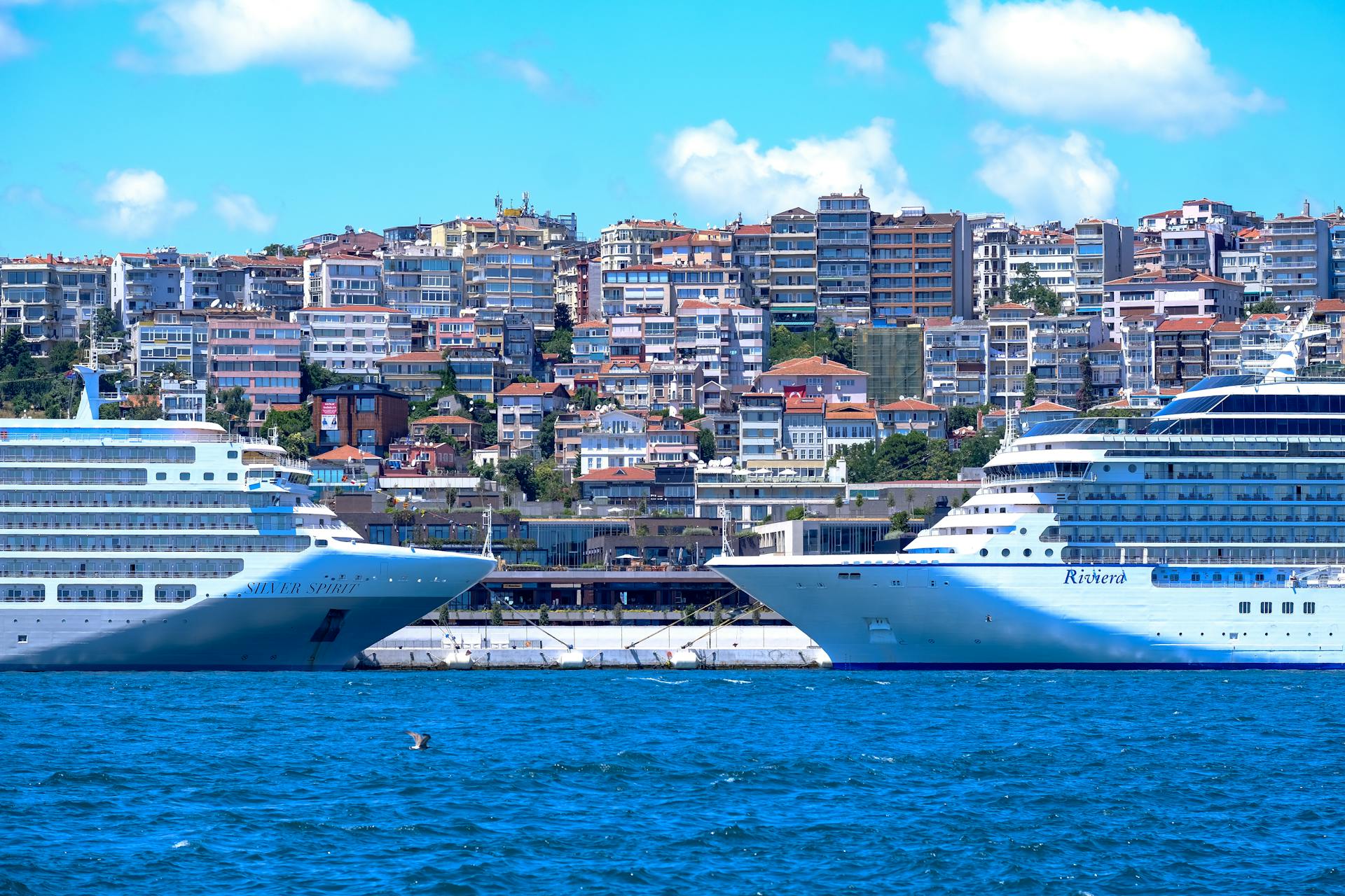 Two luxury cruise ships moored by the scenic Istanbul waterfront with iconic city skyline in the background.